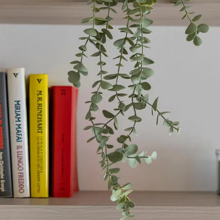 Parkview House - Carozzi Daire