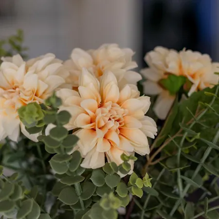 Parkview House - Carozzi Daire *