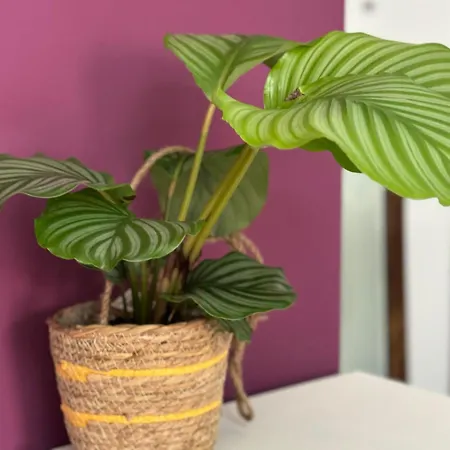 Lovelyloft, Fondazione Prada 밀라노