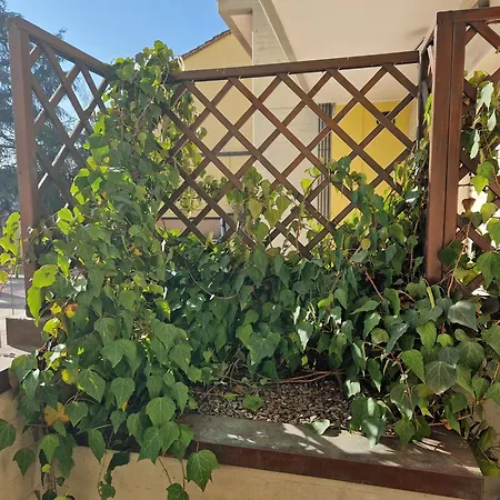 Amazing Terrace Mailand