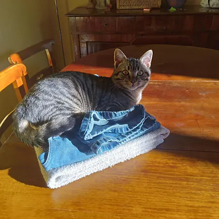 בית אירוח Bovisa Il Design Avanza