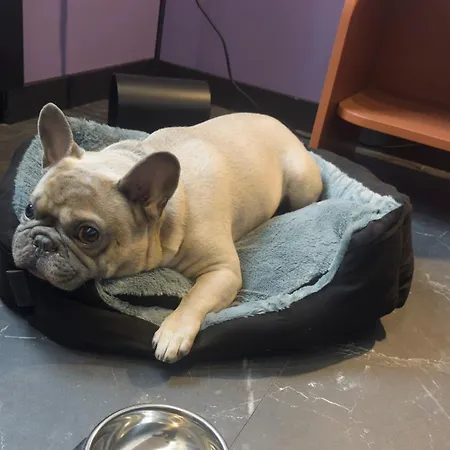 Casual Eclettico Hotel