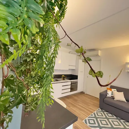 Rentopolis - Palazzo Candiani