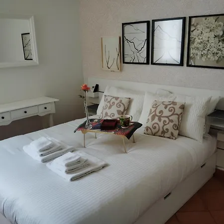 Vfh Guicciardini Stylish Appartamento