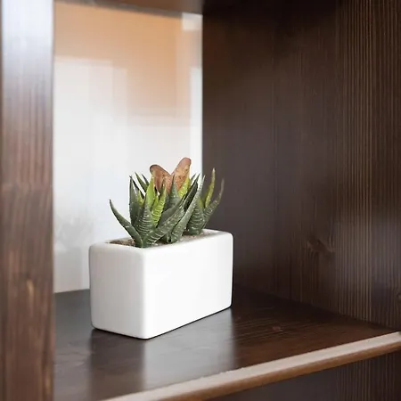 Apartament Elegant - Loreto -