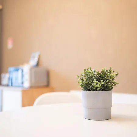 Bramante Luxury By Innstay 公寓 *