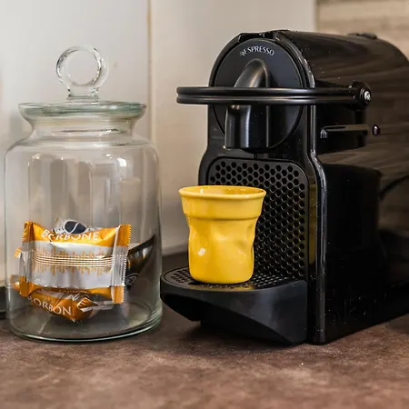 Guesthost - Casa Titus 公寓 *