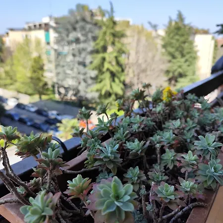 Urban Retreat, Eleganza E Comfort A Appartamento