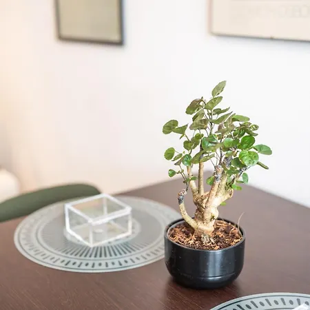 Al 7 Cielo Certosa District * Milano