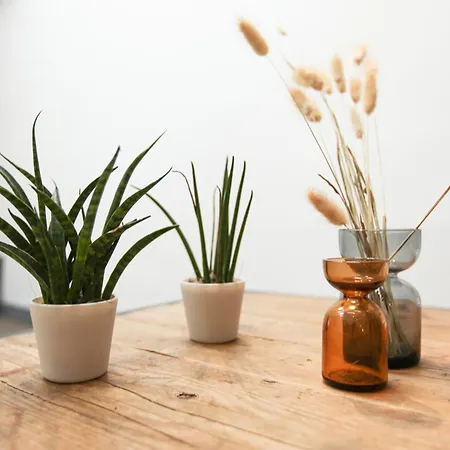 Appartement Modern And Cosy Arco Della Pace