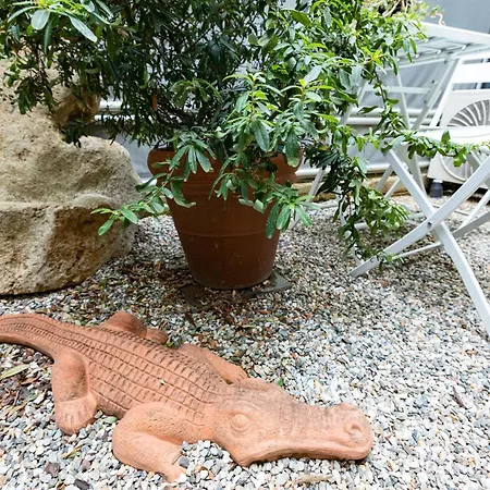 Pensjonat Citta Studi 1 - Collection