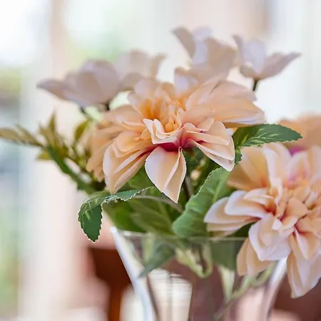 Station 10 Min Private Terrace Skyview 6 Pax *