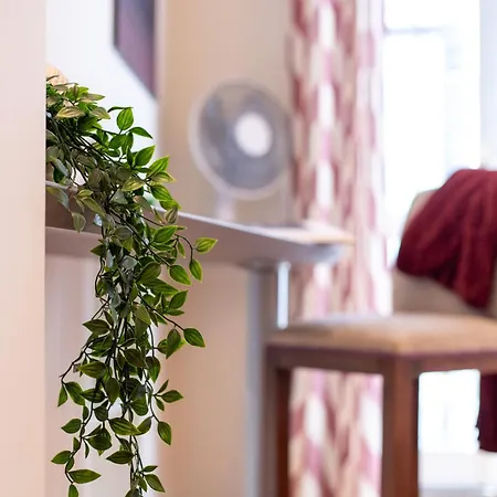 Duomo 500 Mt - Between Art And Design With Wi-fi Appartement *