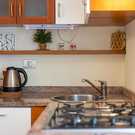 Lejlighed Flat In Center With Terrace, Near Garibaldi Fs