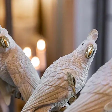 Youhosty - Design Isola Apartament