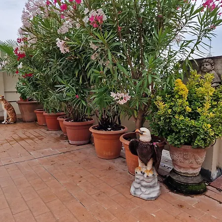 Pier's House - Attico A 3 Chilometri Dal Centro Apartamento