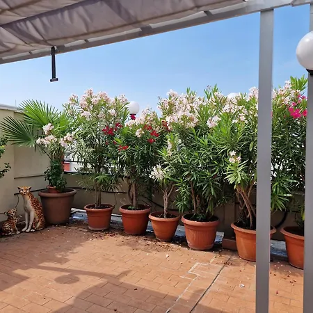 Pier's House - Attico A 3 Chilometri Dal Centro Apartamento *