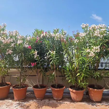 Pier's House - Attico A 3 Chilometri Dal Centro Apartamento Milão