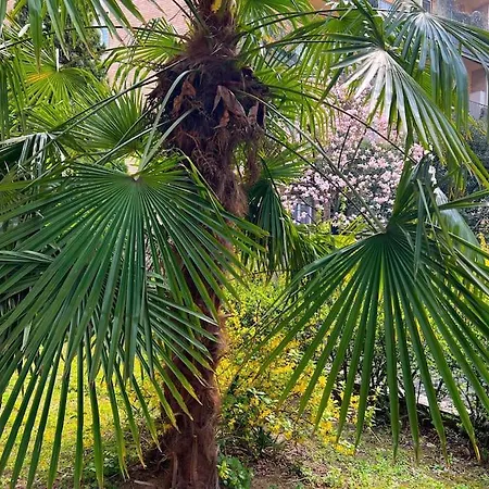 -allianz Mico-san Siro-center- Lux Charming * Milão