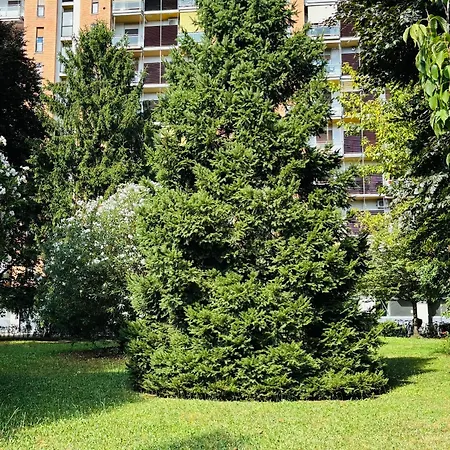 Vittoria Citylife *