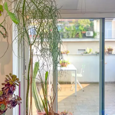 Penthouse With Terrace Milán