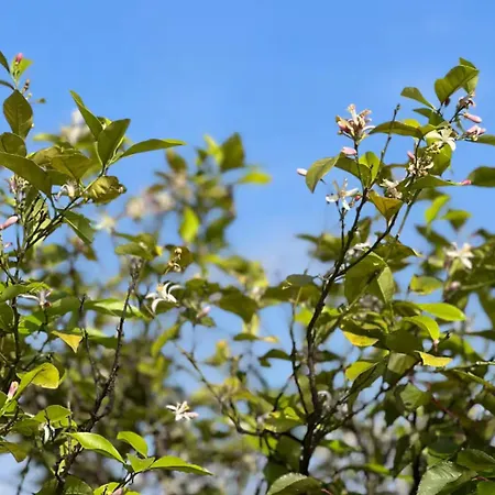 Penthouse With Terrace Apartmán *