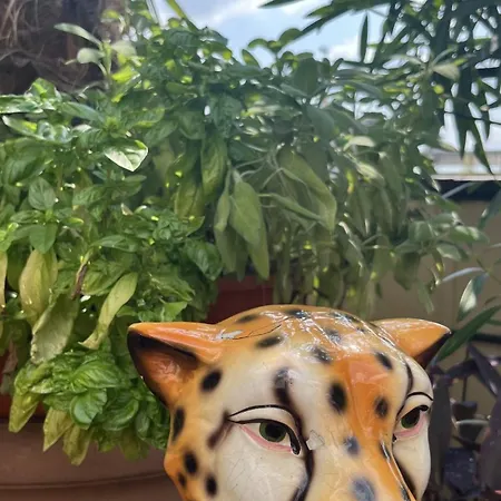 Pier's House - Attico A 3 Chilometri Dal Centro Apartamento Milão