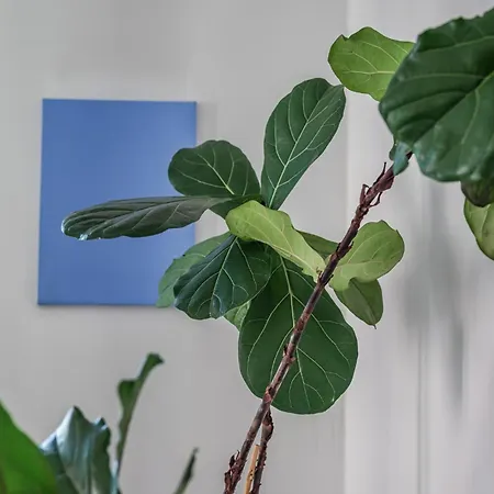 The Morning Sound - Isola Premium Penthouse