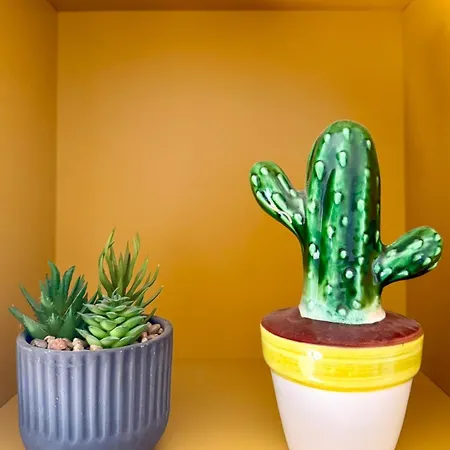 Kaktus House - Your Away From In * Milão