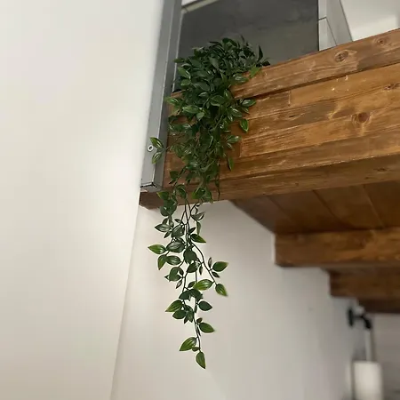 Loft Ottima Posizione Апартаменты *