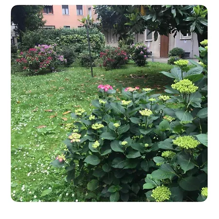 Lejlighed Cozy Flat Via Savona- Tortona Milano