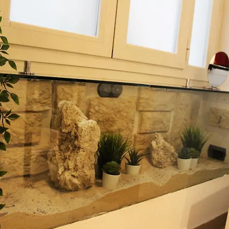 Bb Tortona Bed & Breakfast