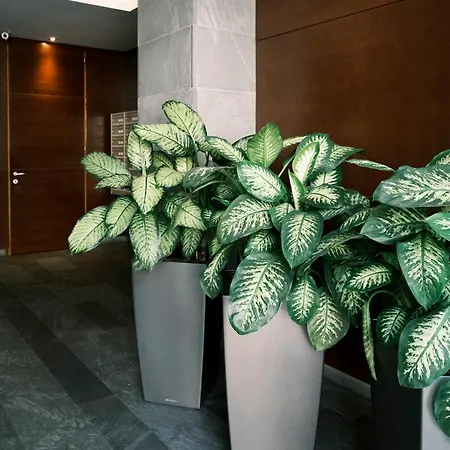 Comecasa De Amicis Urban Flat Near Duomo Apartment Milan