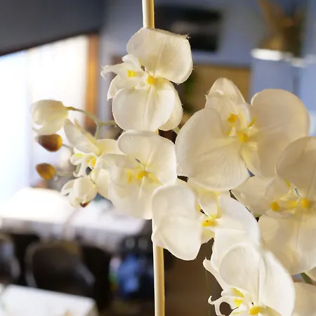 Michelangelo 4* Milano