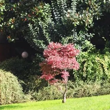 Tiziano - Gruppo Mini 4*