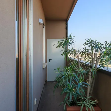 I-host - Scheiwiller 1