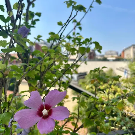 Διαμέρισμα Vanilla Rosemary House Μιλάνο