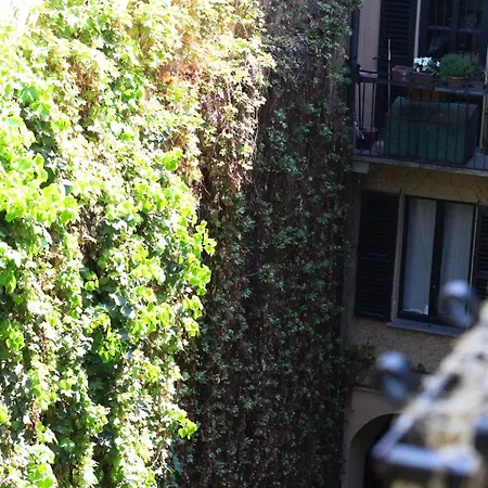 Bamboo Brera Fiorichiari *