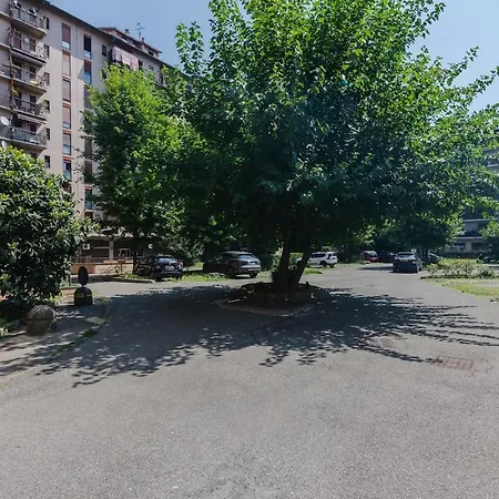 The Macchi - * Milano