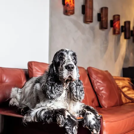 Milan Suite Hotel 4*