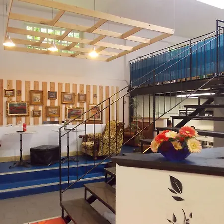 بيت شباب شباب كالارز *