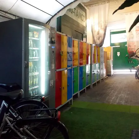 شباب كالارز