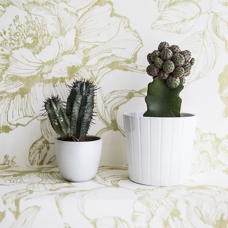 Πανσιόν Serendipity 4*