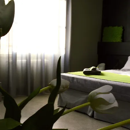 Miloft Guest Rooms And Terrace