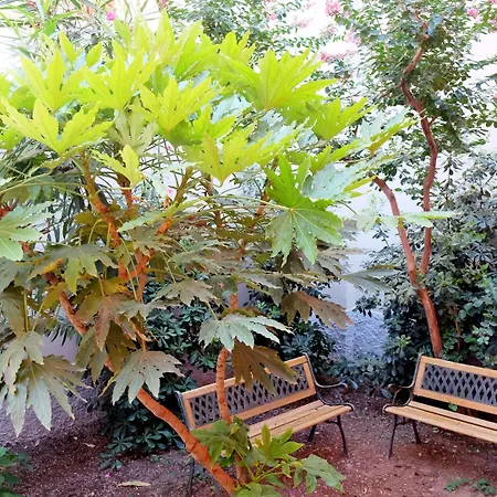 I 10 Mondi Bed and breakfast Milán