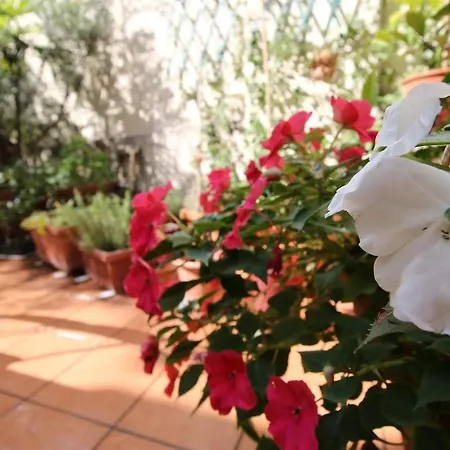 公寓 Yr - Porta Venezia 米兰