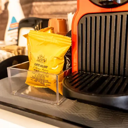 梅内基诺公寓式酒店 4*