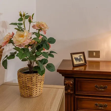 Apartment Stadio Di San Siro - Spazioso *