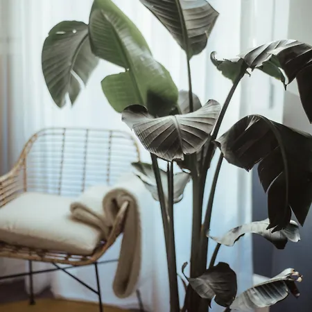 Maison d'hôtes Cà Bèla - Porta Romana 4*