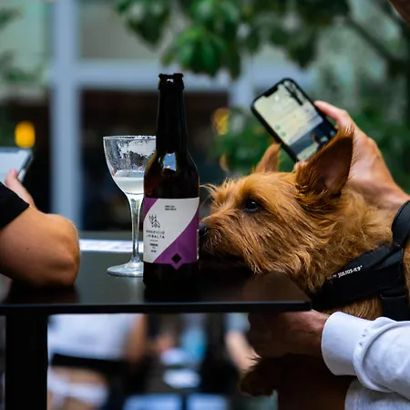 21 House Of Stories Citta Studi Mailand